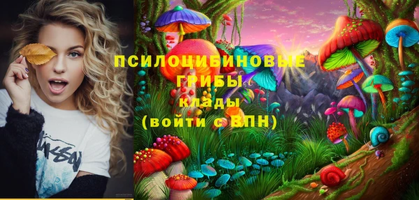 шишки Вяземский