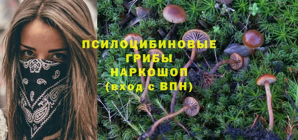трава Вязники