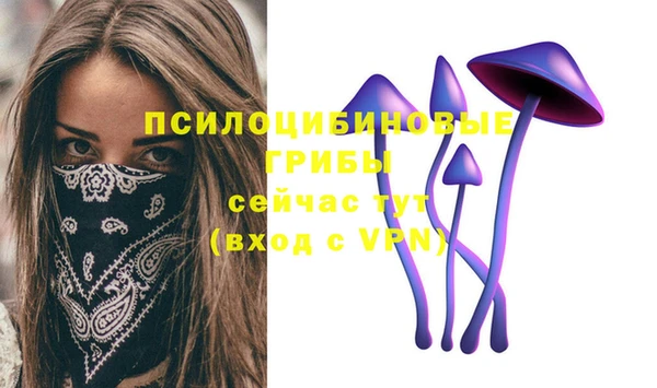 шишки Вяземский